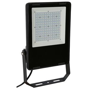 Projecteur à LED Comfort Pro 100 watts, pour l´intérieur et l´extérieur, manèges, non réglable