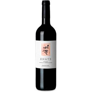 Enate Crianza 2019