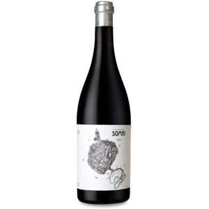 Alfredo Arribas - Portal del Priorat Portal Del Priorat Somni 2019