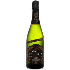 Vía de la Plata Brut Nature - Vin mousseux - Publicité Vía de la Plata Brut Nature - Vin mousseux - Publicité