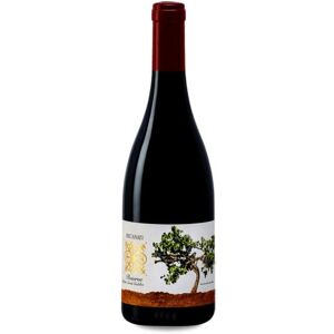 Recanati Petit Syrah Reserva 2021 - Publicité Recanati Petit Syrah Reserva 2021 - Publicité