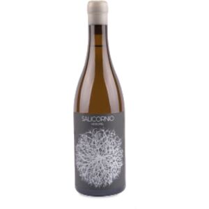 Casa Balaguer - Vinessens Salicornio Moscatel 2022 - Vin - Publicité Casa Balaguer - Vinessens Salicornio Moscatel 2022 - Vin - Publicité