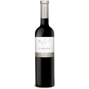 Celler de Capçanes Cabrida Grenache Montsant Crianza - Vin - Publicité Celler de Capçanes Cabrida Grenache Montsant Crianza - Vin - Publicité