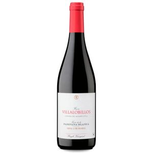 Garcia de Lara García de Lara Finca Villalobillos Tinto de la Pámpana Blanca 2022 - Publicité Garcia de Lara García de Lara Finca Villalobillos Tinto de la Pámpana Blanca 2022 - Publicité