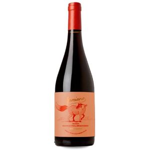 Azul y Garanza Garciano - Vin Rouge Navarra - Publicité Azul y Garanza Garciano - Vin Rouge Navarra - Publicité