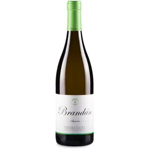 César Márquez Pérez La Salvación Godello 2021 - Vin Blanc - Publicité César Márquez Pérez La Salvación Godello 2021 - Vin Blanc - Publicité