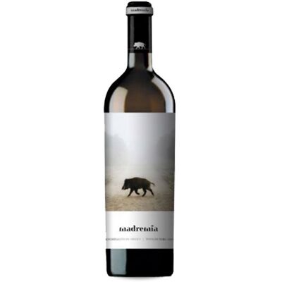 Divina Proporción Madremía 2022 - 75cl - Vin Rouge - Publicité Divina Proporción Madremía 2022 - 75cl - Vin Rouge - Publicité