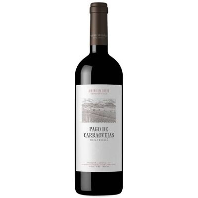 Pago de Carraovejas Magnum 2023 - Publicité Pago de Carraovejas Magnum 2023 - Publicité