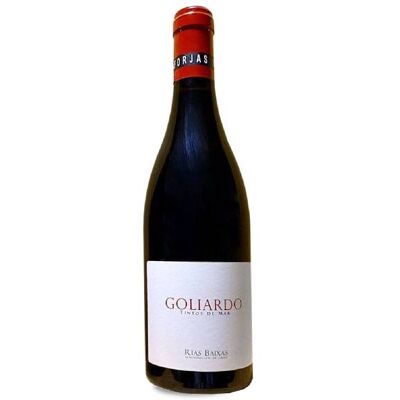 Forjas del Salnés Goliardo - Vin Rouge - 75cl - Publicité Forjas del Salnés Goliardo - Vin Rouge - 75cl - Publicité