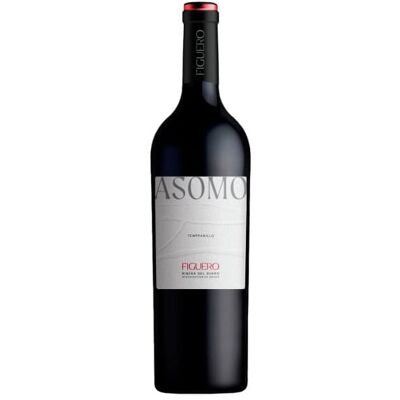 Vin Rouge García Figuero Ribera del Duero - 75cl - Publicité Vin Rouge García Figuero Ribera del Duero - 75cl - Publicité
