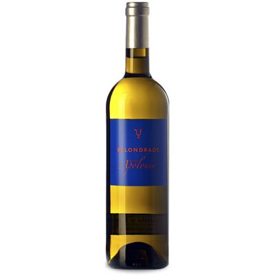 Belondrade y Lurtón Quinta Apolonia Magnum 2024 - Publicité Belondrade y Lurtón Quinta Apolonia Magnum 2024 - Publicité