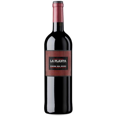 Arzuaga Navarro La Planta Magnum 2024 - Publicité Arzuaga Navarro La Planta Magnum 2024 - Publicité