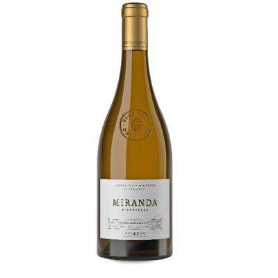 Juvé & Camps Miranda d' Espiells Chardonnay - Vin Blanc - Publicité Juvé & Camps Miranda d' Espiells Chardonnay - Vin Blanc - Publicité