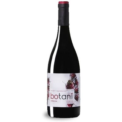 Jorge Ordoñez Botani Garnacha 2022 - Vin Rouge - Publicité Jorge Ordoñez Botani Garnacha 2022 - Vin Rouge - Publicité