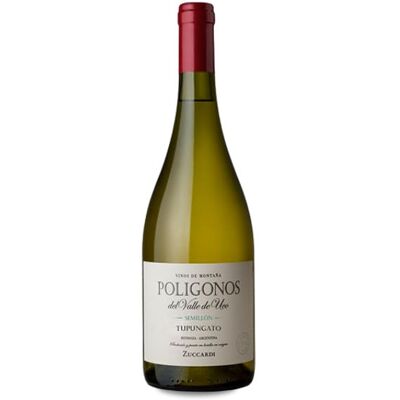 Zuccardi Polígono Tupungato Sémillon 2021 - 75cl - Vin - Publicité Zuccardi Polígono Tupungato Sémillon 2021 - 75cl - Vin - Publicité