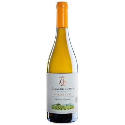 Casar de Burbia Casar Godello 2024 - Vin Blanc - Publicité Casar de Burbia Casar Godello 2024 - Vin Blanc - Publicité