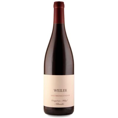 Weingut am Schlipf Schneider - Spätburgunder - Vin Rouge - Publicité Weingut am Schlipf Schneider - Spätburgunder - Vin Rouge - Publicité
