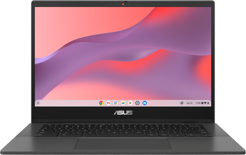 Ordinateur Portable Asus Chromebook  CM1402CM2A-EK0074