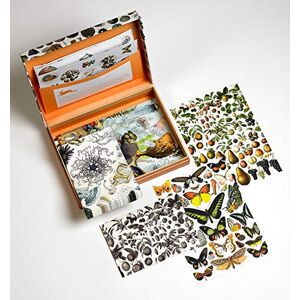 Roojen, Pepin van Natural History: Letter Writing Set / Briefpapier Set / Set De Correspondence: Letter Wrting Set - Briefpapier Set (Pepin Letter Writing Sets)