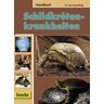 Dr. Lutz Sassenburg Schildkrötenkrankheiten, Handbuch: Vorbeugen - Erkennen - Beheben - Nachsorgen