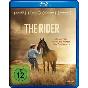 Zhao Chloe' The Rider