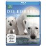 Philip Dalton Die Eisbären - Aug In Aug Mit Den Eisbären (Inkl. Director'S Cut) [Blu-Ray]