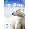 Gordon Buchanon Unter Eisbären - Überleben In Der Arktis