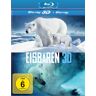 Eisbären 3d [3d Blu-Ray]