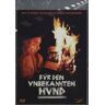 Dominik Reding Für Den Unbekannten Hund (Steelbook) [2 Dvds]