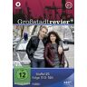 Felix Herzogenrath Großstadtrevier 21 - Folge 310-326 [5 Dvds]