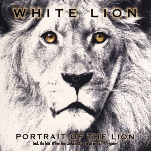 White Lion Portrait Of The Lion