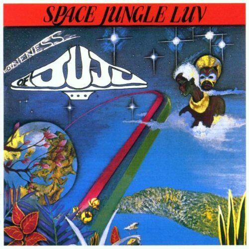 Oneness of Juju Space Jungle Luv