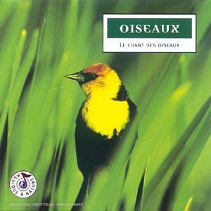 Ecology Natural Sounds Musique Et Nature Oiseaux - Le Chant Des Oiseaux ( - Publicité Ecology Natural Sounds Musique Et Nature Oiseaux - Le Chant Des Oiseaux ( - Publicité