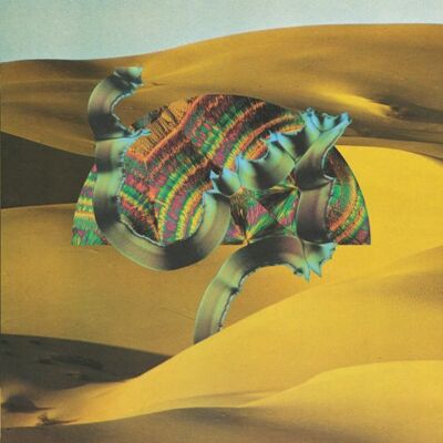 Django Django - Publicité Django Django - Publicité