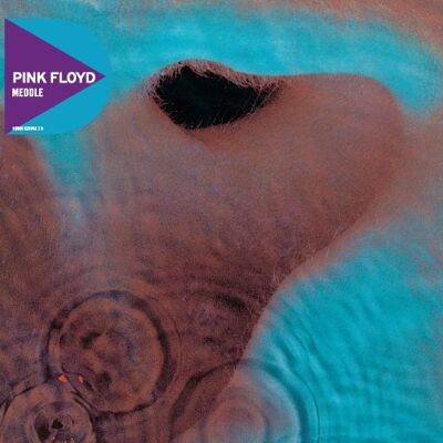 Pink Floyd Meddle (Remastered) - Publicité Pink Floyd Meddle (Remastered) - Publicité