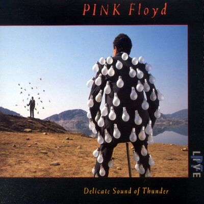 Pink Floyd Delicate Sound Of Thunder - Publicité Pink Floyd Delicate Sound Of Thunder - Publicité