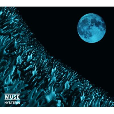 Muse Hysteria - Publicité Muse Hysteria - Publicité