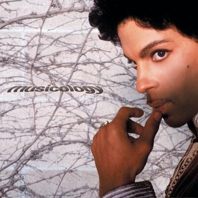 Prince Musicology - Publicité Prince Musicology - Publicité