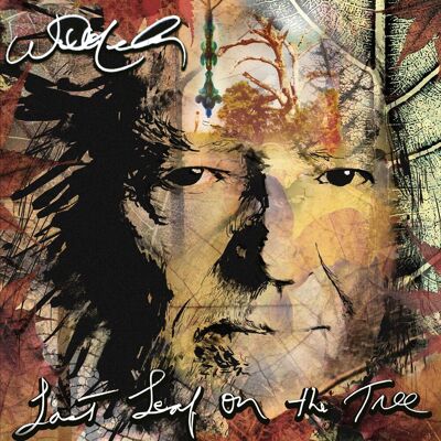 Willie Nelson Last Leaf On The Tree - Publicité Willie Nelson Last Leaf On The Tree - Publicité