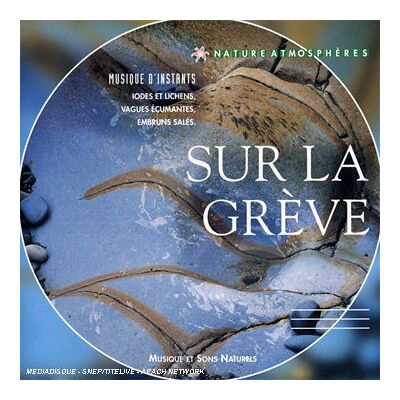 Yogitea Sur La Greve, Nature Atmospher - Publicité Yogitea Sur La Greve, Nature Atmospher - Publicité