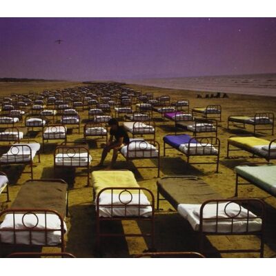Pink Floyd A Momentary Lapse Of Reason (Remastered) - Publicité Pink Floyd A Momentary Lapse Of Reason (Remastered) - Publicité