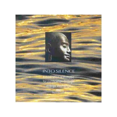 Various Into Silence - Publicité Various Into Silence - Publicité