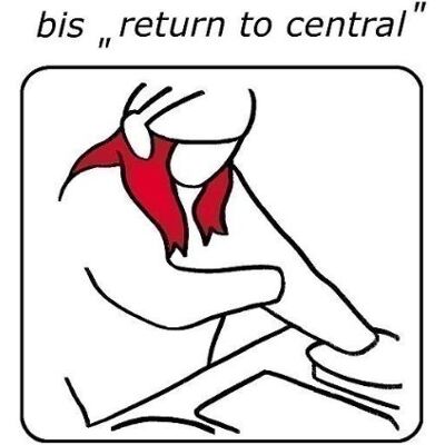 Bis Return To Central - Publicité Bis Return To Central - Publicité