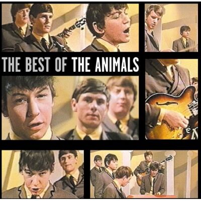 Best Of The Animals - Publicité Best Of The Animals - Publicité