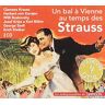 Un Bal A Vienne Au Temps Des Strauss