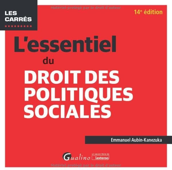 Emmanuel Aubin-Kanezuka L'Essentiel Du Droit Des Politiques Sociales: Pour Tout Comprendre Du Droit Des Politiques Sociales Applicable En 2023