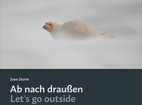 Sven Sturm Ab Nach Draußen / Let'S Go Outside