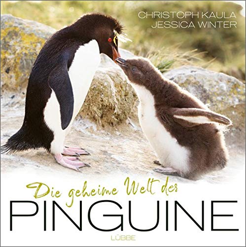 Christoph Kaula Die Geheime Welt Der Pinguine
