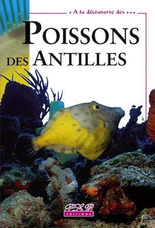 Christine Parle Poissons Des Antilles