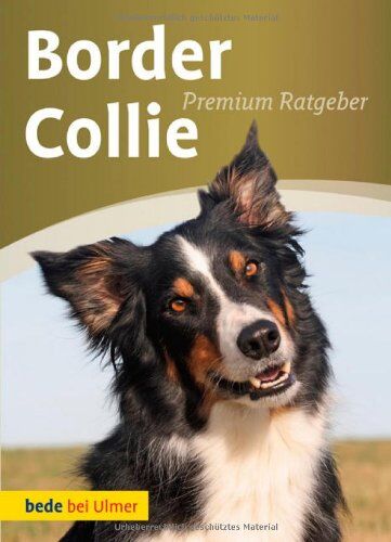 Annette Schmitt Border Collie